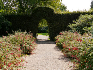 Fuchsien Doppel Border, Nymans Garden