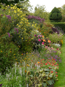 Doppel-Mixed-Border, Nymans Garden,