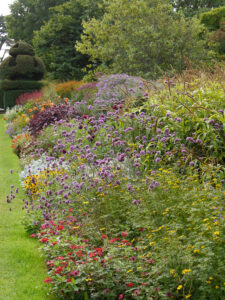 Doppel-Mixed-Border, Nymans Garden,