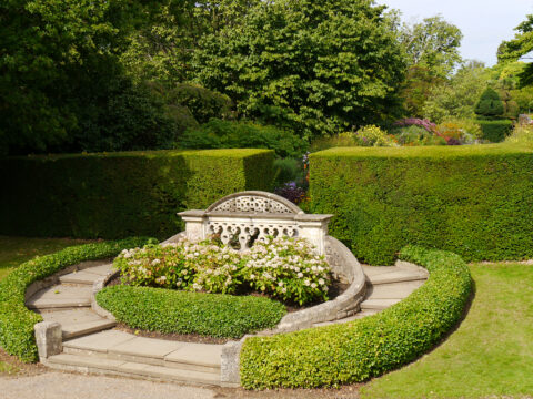 Hydrangea 'Madame Emile Mouillièrre', Ball-Hortensie am Mauer-Garten Ende, Nymans Garden