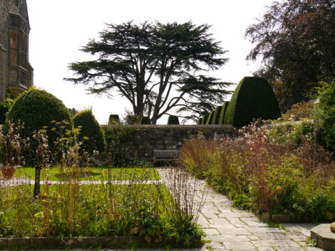 Hausgarten ummauert mit Libanon-Zeder im Hintergrund, Nymans Garden