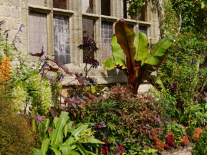 Exotische Bepflanzung vor der Ruine, Nymans Garden