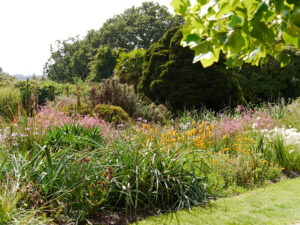 Südafrika-Beet in Nymans Garden