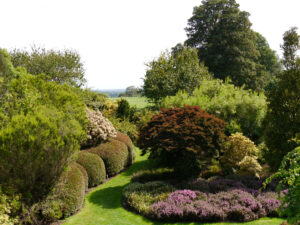 Im Heidegarten, Heather Garden, Nymans Garden