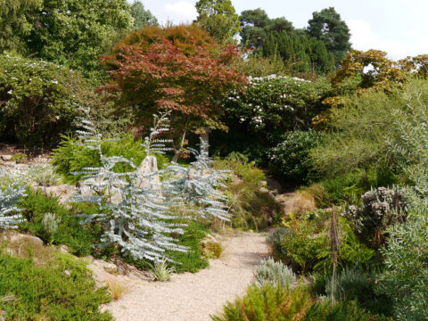 Der australische Garten in Nymans Garden