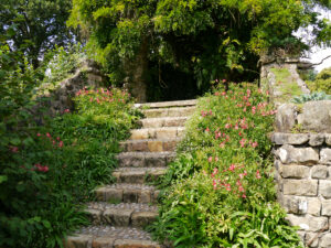 Aussichtstreppe mit Alstroemeria in Nymans Garden