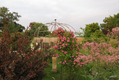 Der Rosenpavillon im Rosengarten