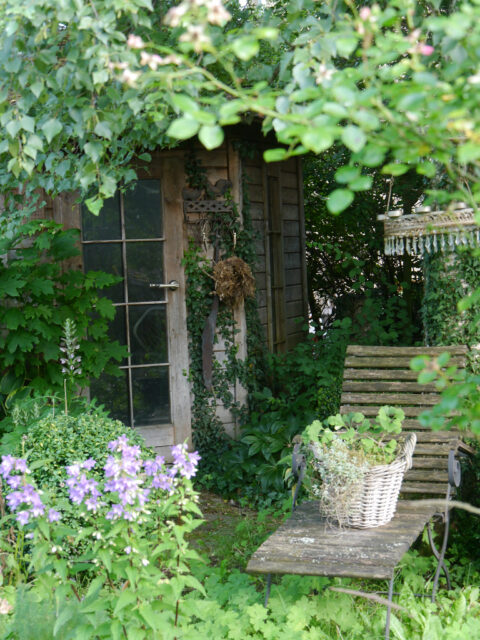 Die Teakholz-Liege vor der Gartenhütte neben der Birke