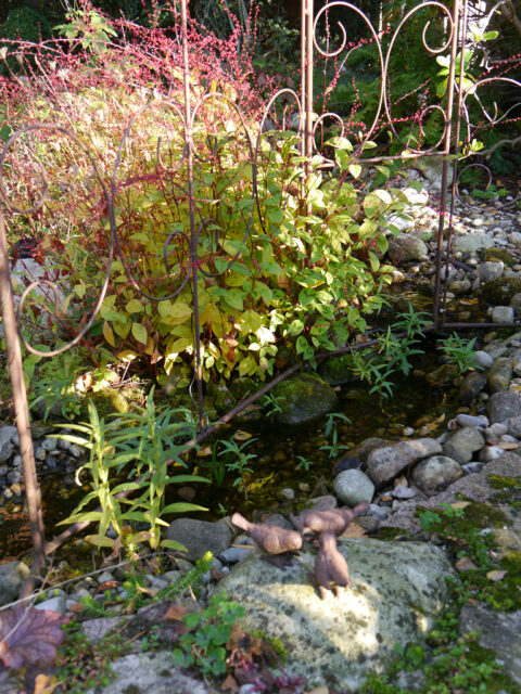 Das Bächlein im Rosenrondell von Wurzerls Garten