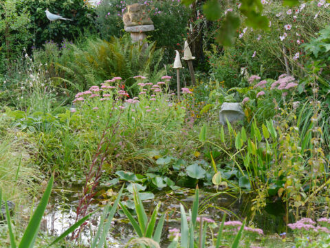 Gartenteich im Garten Schroth