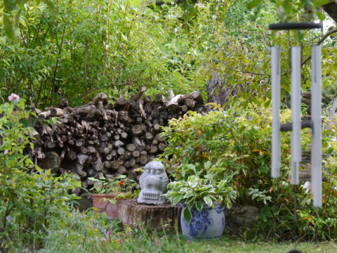 Naturschutz im Stadtgarten, Garten Schroth