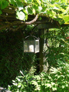 Auch  in der Weinlaube geht einem das Licht auf, Garten Schroth