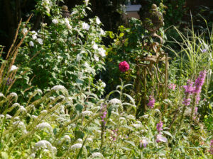 Mixed Border am Teich in Wurzerls Garten