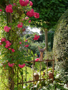 Rose 'Super Excelsa', Eulengarten, Martina Krause