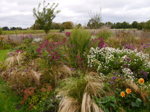 LATÜT-Garten, Karin Berends-Lüürßen