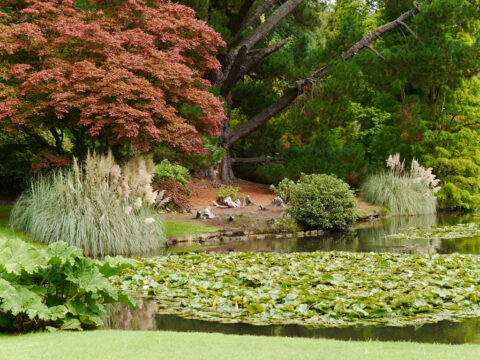 Sheffield Park and Garden, East-Sussex