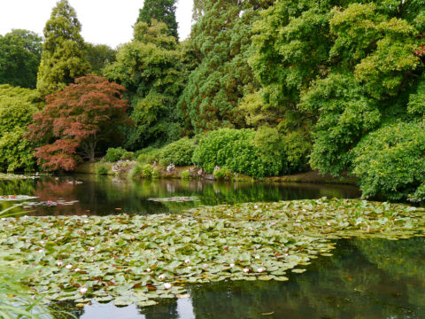 Sheffield Park and Garden, East Sussex