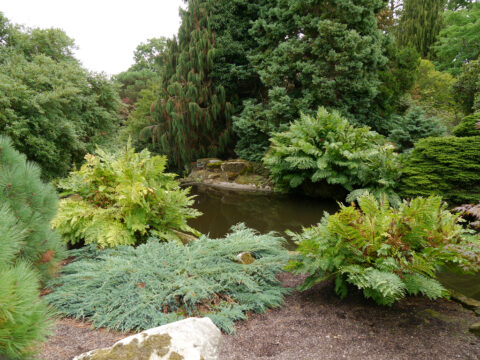 Sheffield Park and Garden, East Sussex