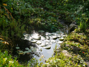 Vorgarten Spetzer-Tuun, Waldgarten Amanda Peters