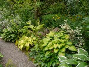 Spetzer-Tuun, Waldgarten Peters