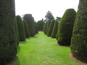 Yew Garden, Eibengarten, Packwood House