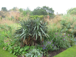 Yucca recurvifolia, Stipa gigantea, Carolean Garden, Packwood House