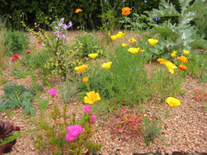 Sandbeet im Sunken Garden, Packwood House