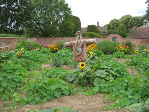 Kitchen Garden, Küchengarten, Packwood House