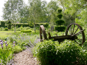 Wagenachse, im Wiesengarten im Juni, Garten Moorriem