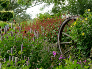 Wagenrad im Wiesengarten August, Garten Moorriem