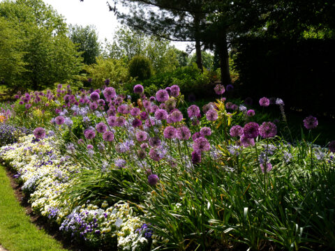 Blumenband im Park der Gärten