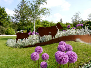 Stachys byzantina, Allium und Cortenstahl im Park der Gärten, Bad Zwischenahn