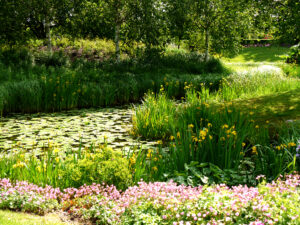 Wasserlandschaft im Park der Gärten, Bad Zwischenahn