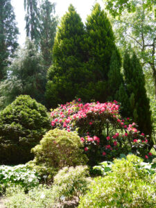 Rhododendronpark im Park der Gärten, Bad Zwischenahn