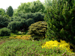 Der Heidegarten im Park der Gärten, Bad Zwischenahn