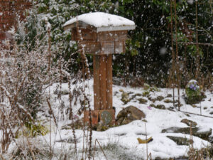 Der Winter kommt im März zurück in Wurzerlsgarten