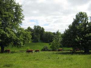 Parklandschaft neben dem Hauptzugang von Greys Court