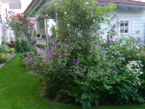 Gartenhäuschen, Rosen- und Clematisgarten Halwax