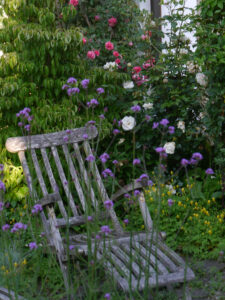 Rosen- und Clematisgarten, Garten Halwax