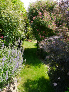 Rasenwege führen durch die Sichtachsen im Rosengarten Josefine Heinze, Grattersdorf