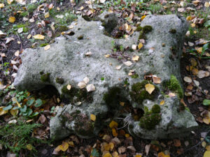 Ein Stein bietet schon vielen Tieren Unterschlupf im Winter, Laub und kleine Äste bleiben bis zu Frühjahr liegen in Wurzerlsgarten