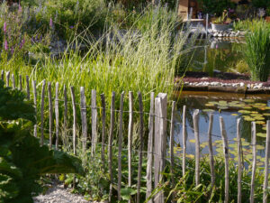 Natur-Schwimmteich, Chiemgau-Kaktus