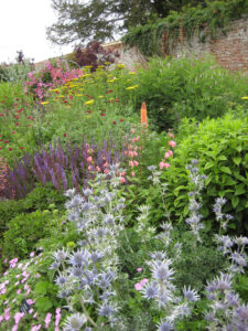 Hot and Cool Garden in Coughton Court