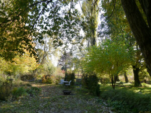 naturzertifizierter Waldgarten - Christiane Hame