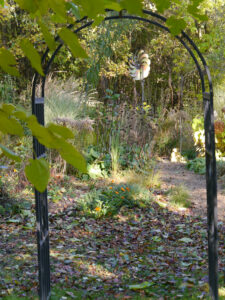 Durch den Bogen sieht man schon den Rand des goldgelben Sonnenbeetes im Garten Christiane Hame