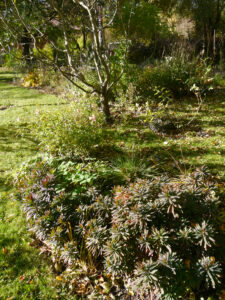 Blick in den Wiesengarten von Christiane Hame