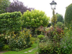 Im Sonnengarten der Gärtnerei Picker