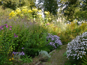 Im Lindengarten, dem naturnahen Schaugarten der Gärtnerei van Diemen 