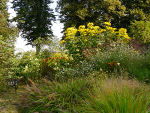 Im Lindengarten, dem naturnahen Schaugarten der Gärtnerei van Diemen 