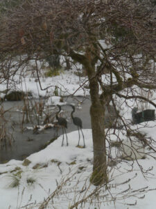 Das Frühlingsbeet am Ahorneck im Januar in Wurzerlsgarten